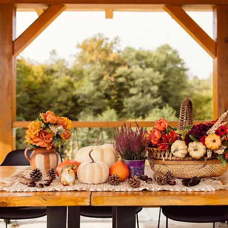 Srce Kozare 別荘 *