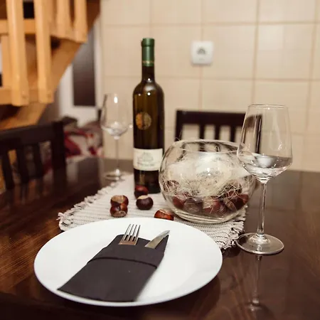 Srce Kozare 別荘 *